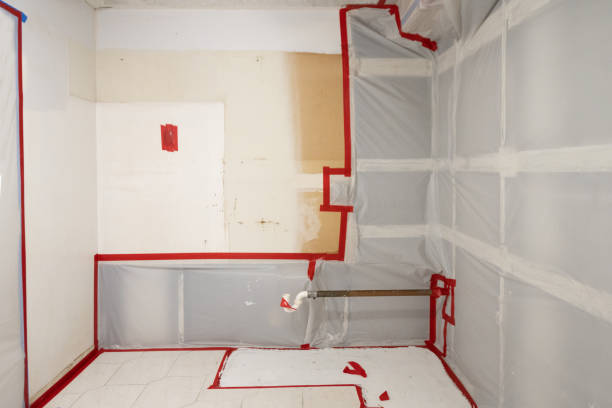 Forensic Mold Investigation in Tarentum, PA