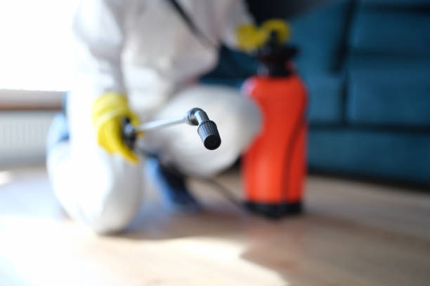 Best Air Quality Testing for Mold Spores  in Tarentum, PA